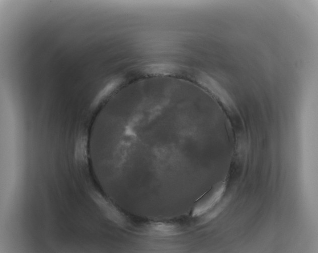 X0000111670585200907241214