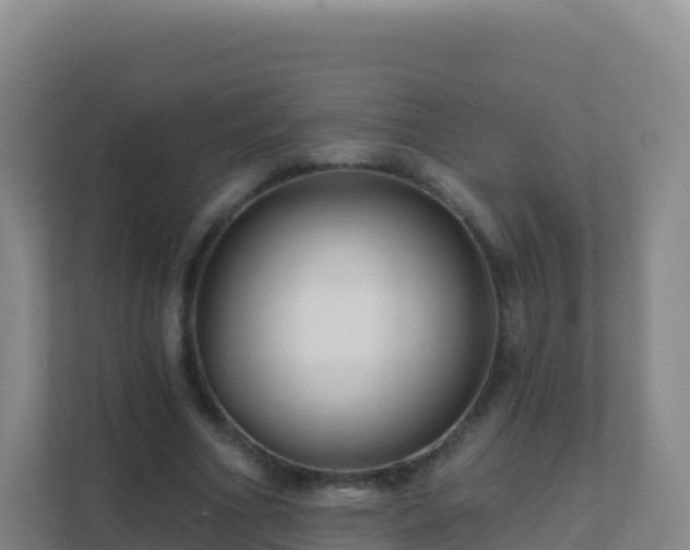 X0000111670586200907241214