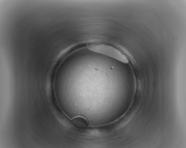 X0000111670588200907241214