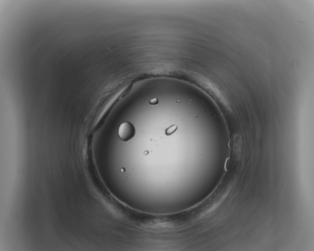 X0000111670589200907241214