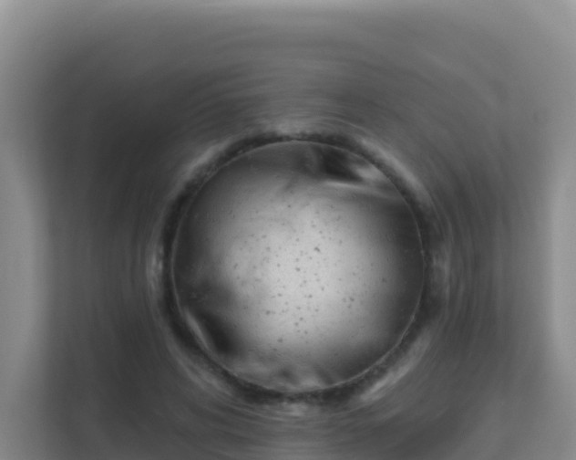 X0000111670592200907241214