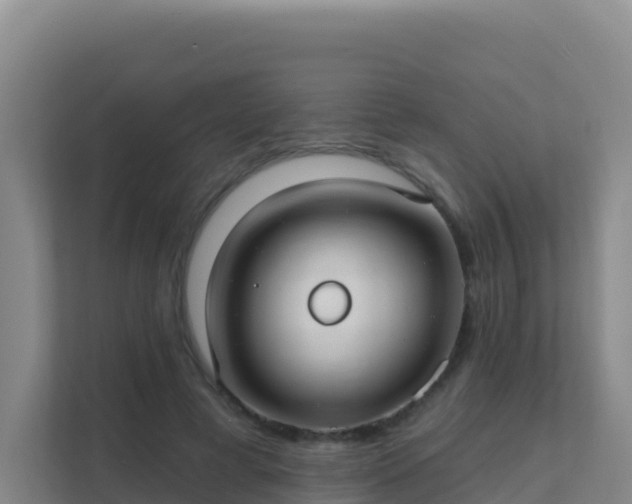 X0000111670593200907241214