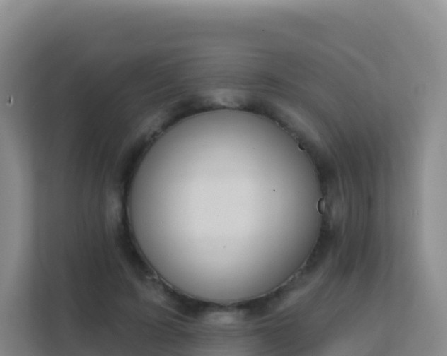 X0000111670595200907241214