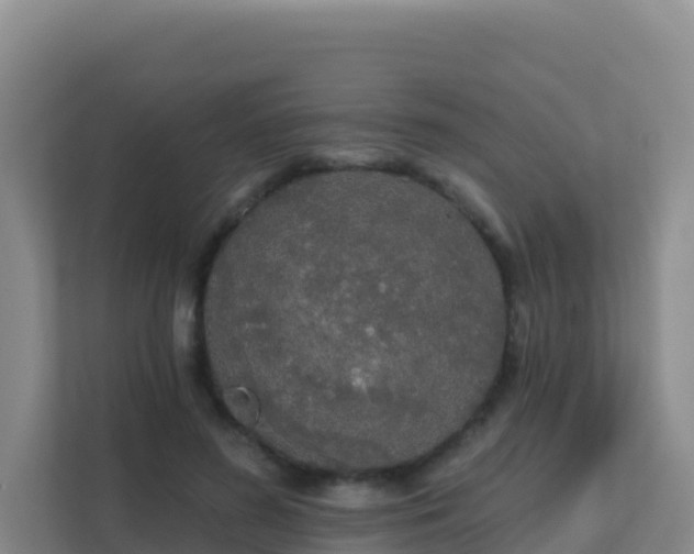 X0000111670596200907241214