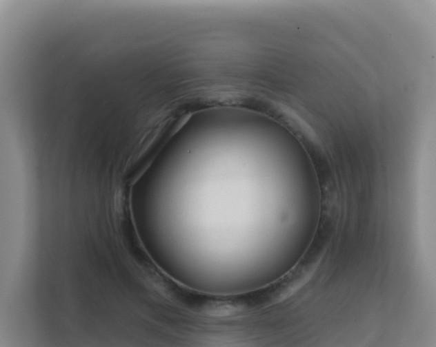 X0000111670597200907241214