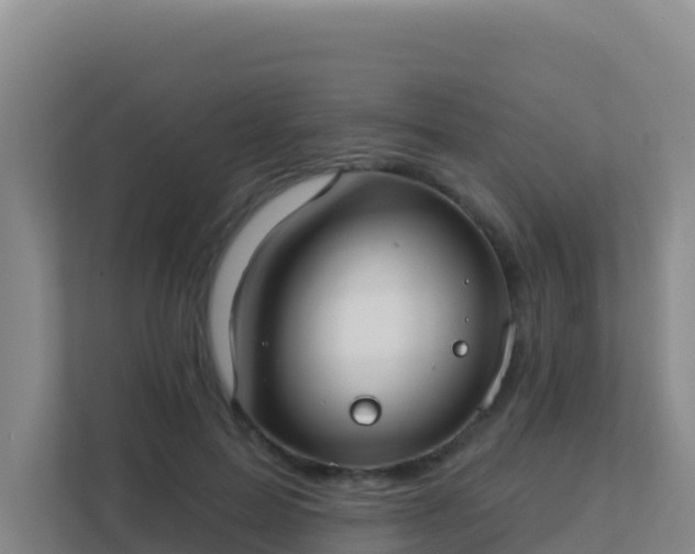 X0000111670599200907241214