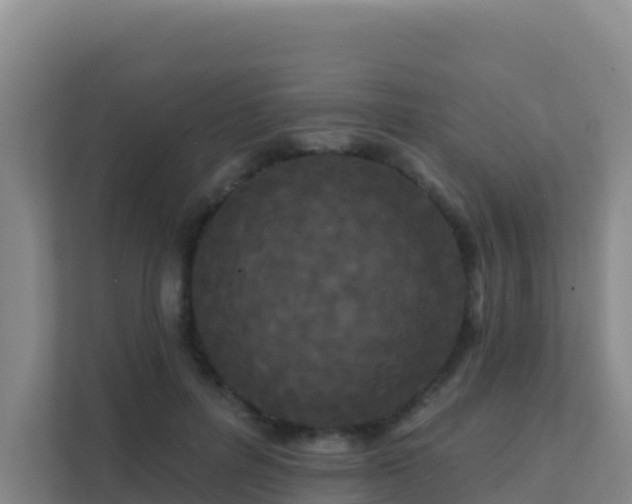 X0000111670600200907241214