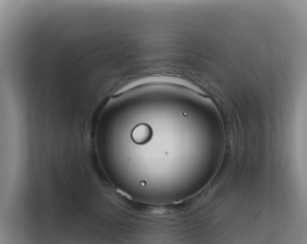 X0000111670611200907241213