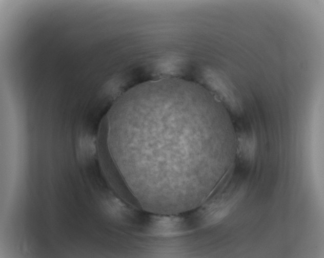 X0000111670621200907241213