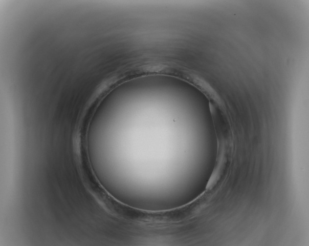 X0000111670626200907241213