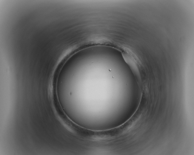 X0000111670630200907241213