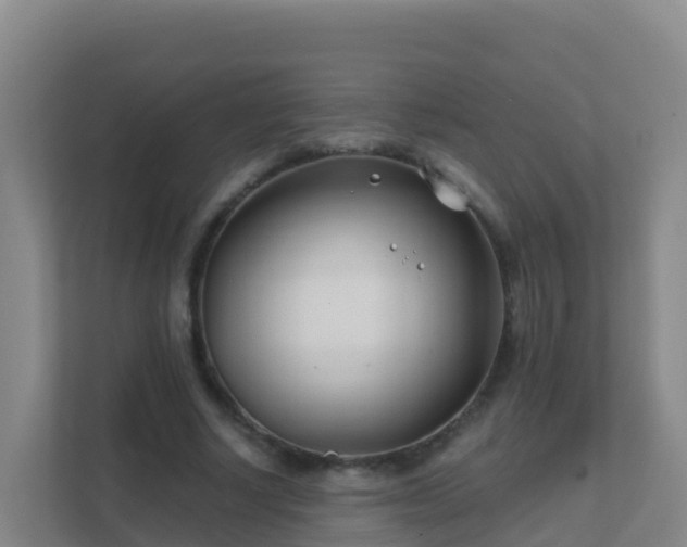 X0000111670634200907241213