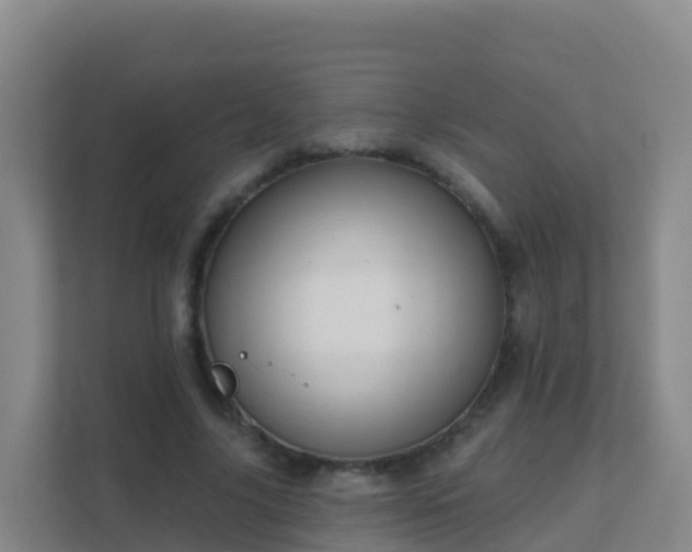 X0000111670635200907241213