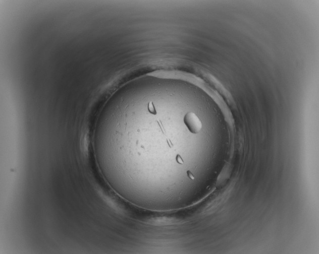 X0000111670637200907241213