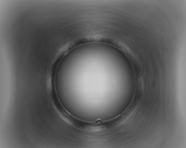 X0000111670638200907241213