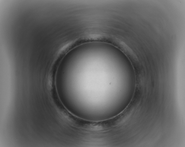 X0000111670640200907241213