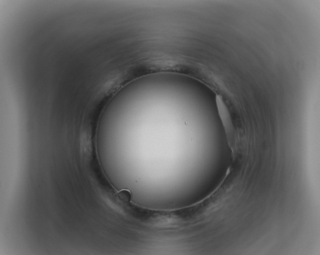 X0000111670642200907241213