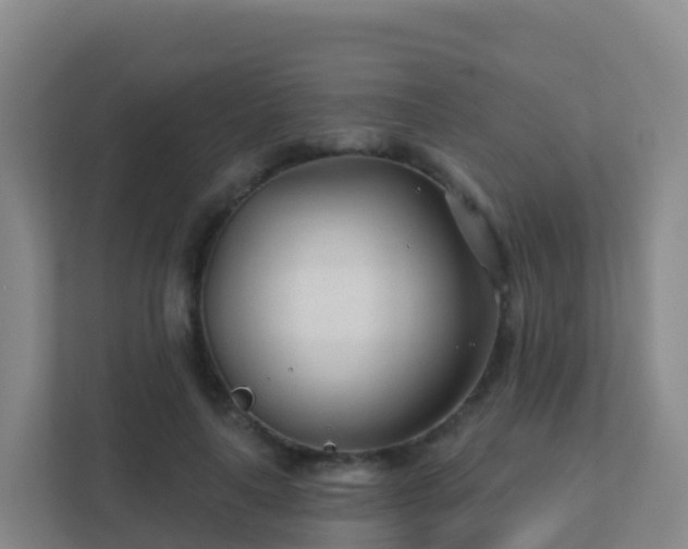 X0000111670643200907241213