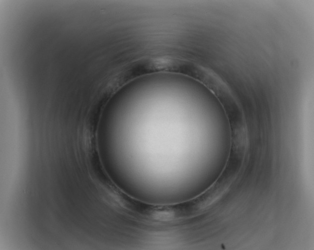 X0000111670653200907241213