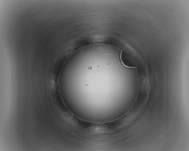 X0000111670655200907241213