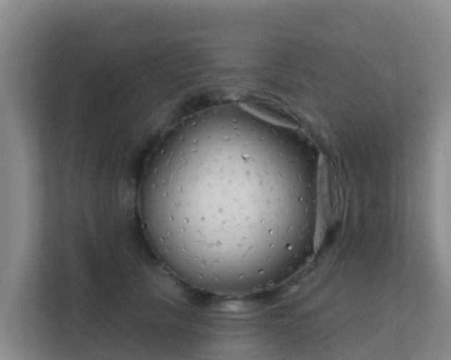 X0000111670657200907241213