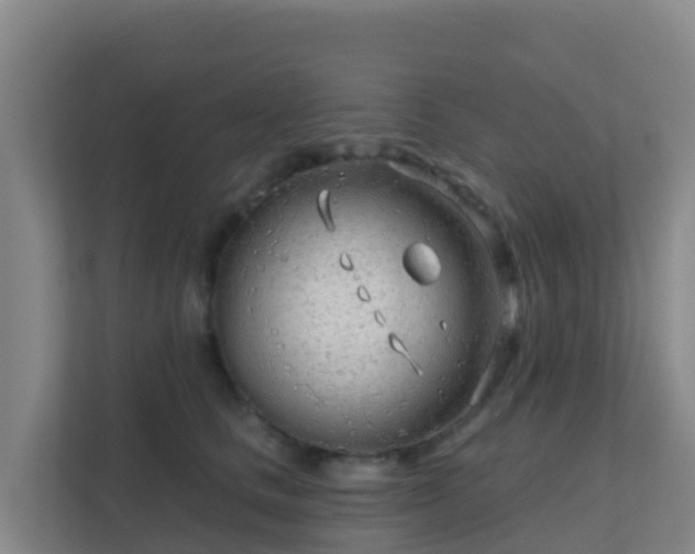 X0000111670661200907241213