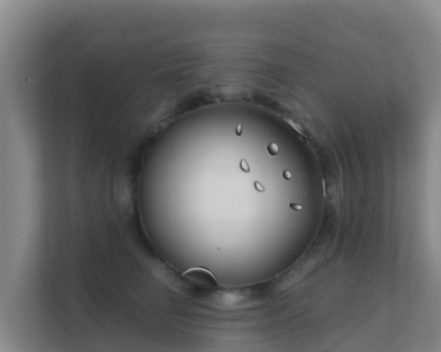 X0000111670662200907241213