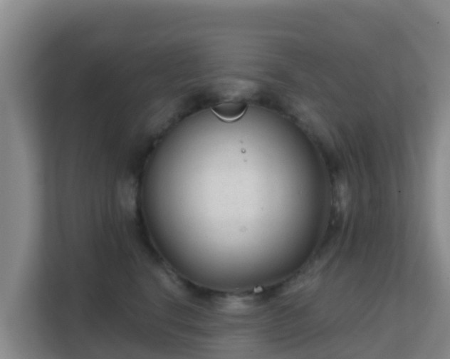 X0000111670664200907241213