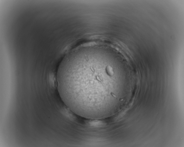 X0000111670669200907241213