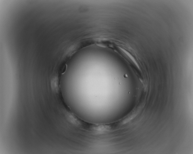 X0000111670670200907241213