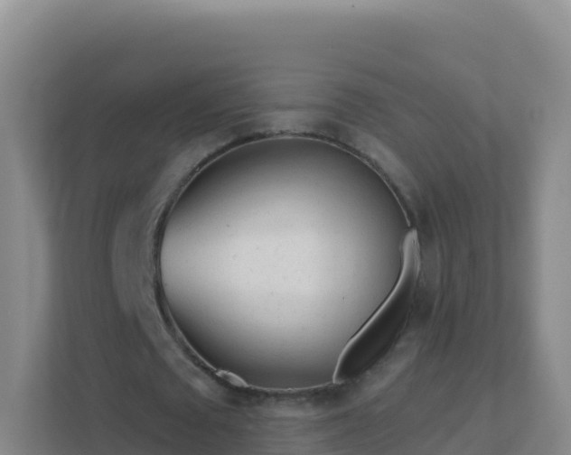 X0000111670673200907241213