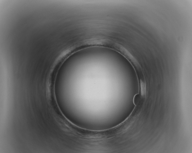 X0000111670675200907241213