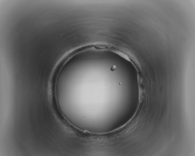 X0000111670676200907241213