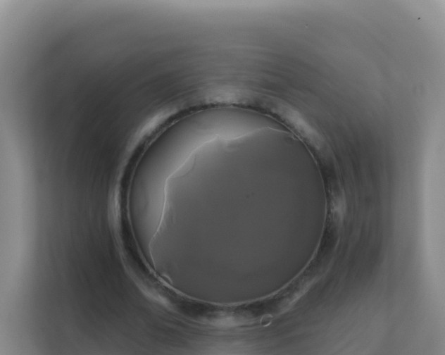 X0000111670678200907241213