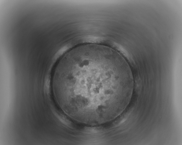 X0000111670679200907241213