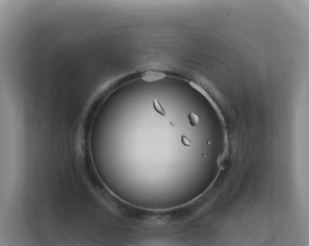 X0000111670680200907241213