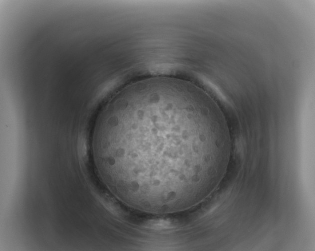 X0000111670687200907241212