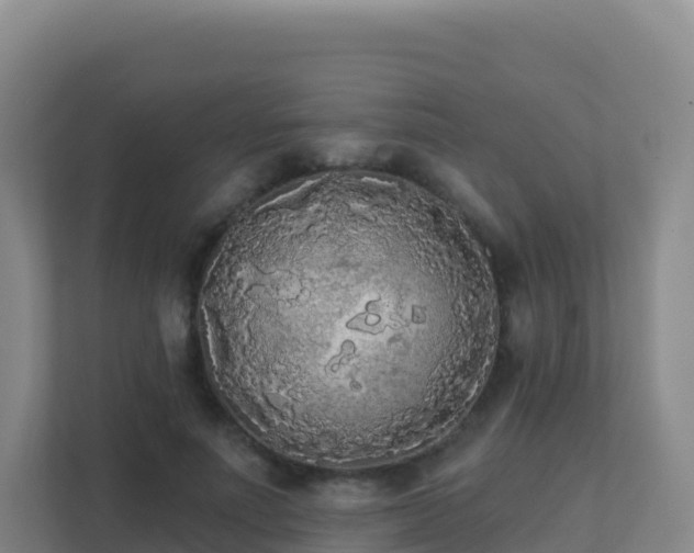 X0000111670691200907241212