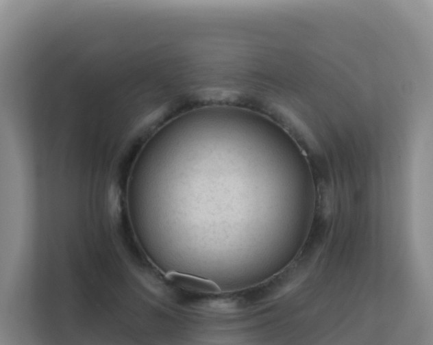 X0000111670692200907241212