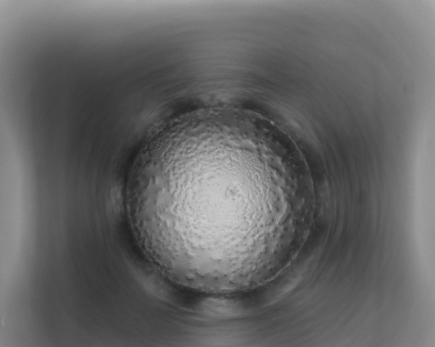 X0000111670699200907241212