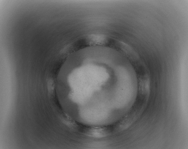 X0000111670701200907241212