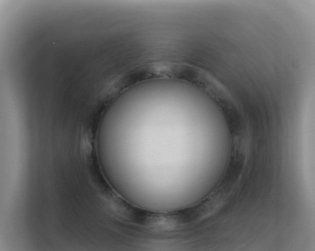 X0000111670702200907241212