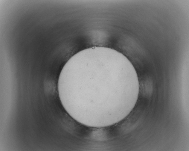 X0000111670705200907241212