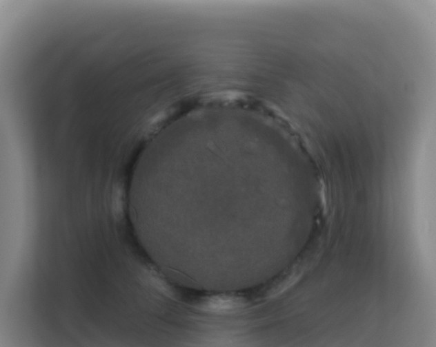 X0000111670708200907241212