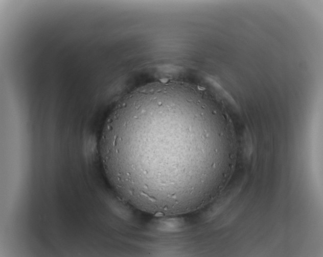 X0000111670711200907241212