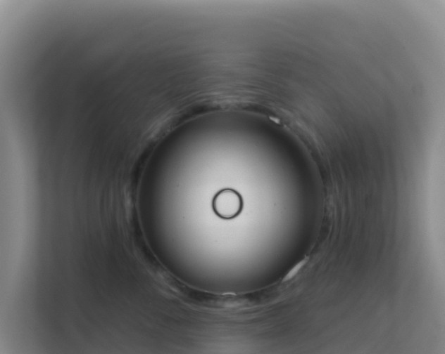 X0000111670716200907241212