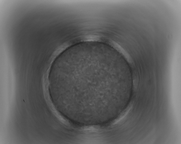 X0000111670721200907241211