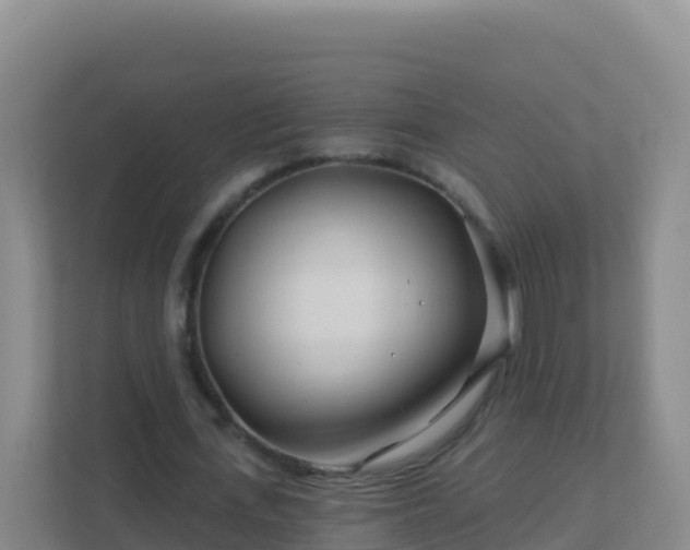 X0000111670723200907241211