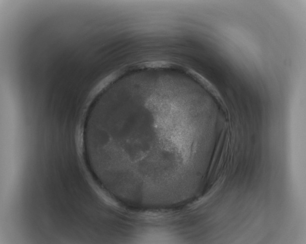 X0000111670725200907241211