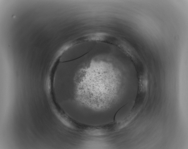 X0000111670726200907241211